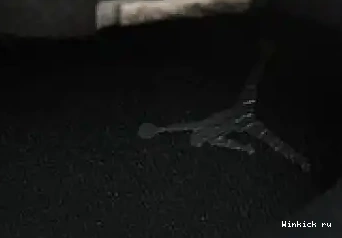 BLACK 4 CAT AIR JORDAN 2020 0425